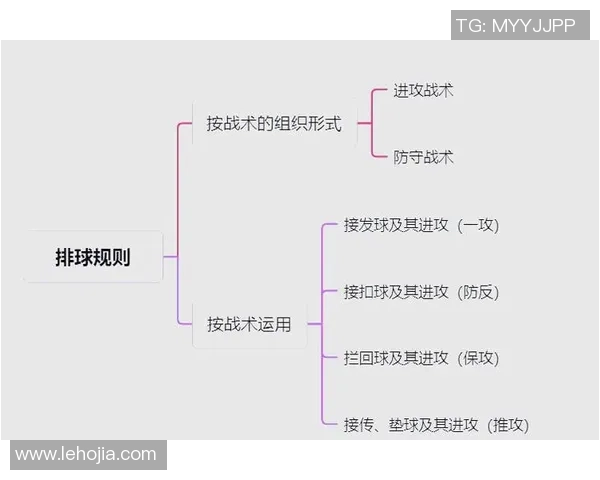 排球战术：深圳排球队的盯防体系